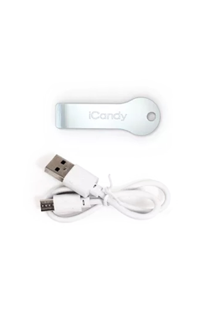 iCandy Core Pram - charger - Babyhuys